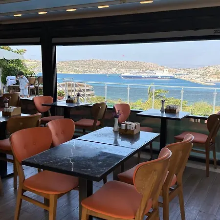 Aden Boutique 酒店 *